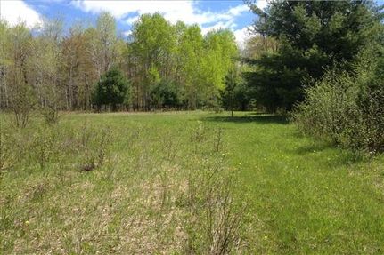 Property in Osceola County, Michigan