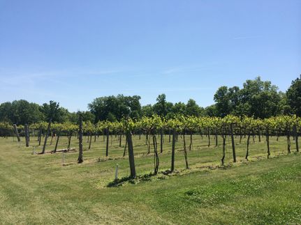 Property in Johnson County, Illinois