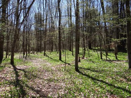 Property in Otsego County, New York