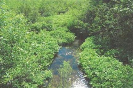 Property in Montcalm County, Michigan