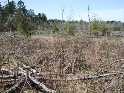 Property in Dallas County, Arkansas