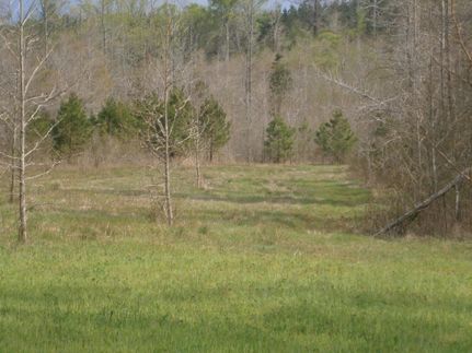 Property in Tippah County, Mississippi