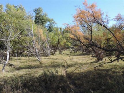 Property in Wilbarger County, Texas