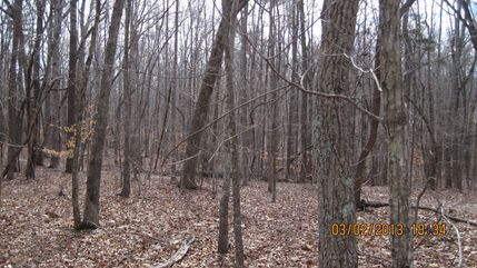 Property in Granville County, North Carolina