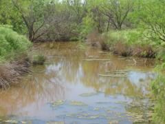 Property in Haskell County, Texas