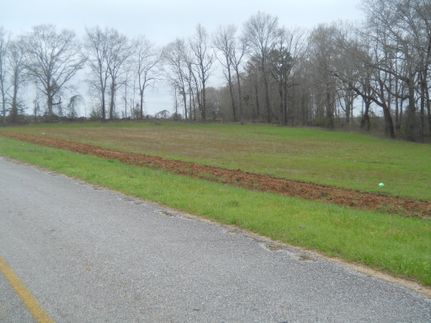 Property in Barbour County, Alabama