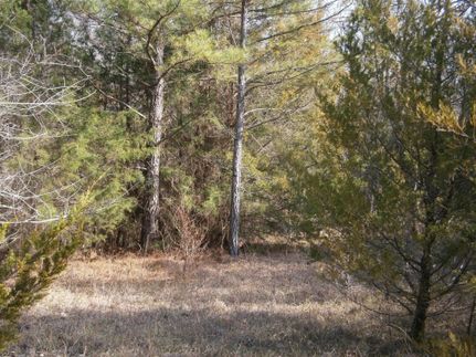 Property in Pontotoc County, Mississippi