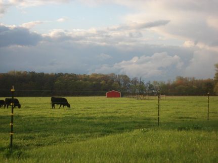 Property in Dorchester County, Maryland