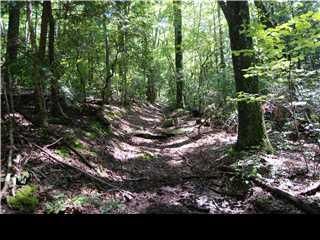 Property in Hamilton County, Tennessee