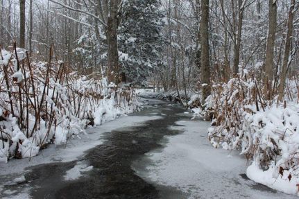 Property in Oneida County, New York