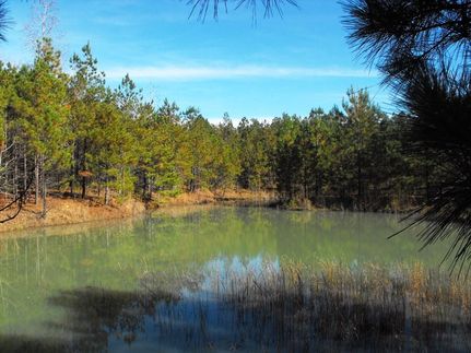 Property in Calhoun County, Arkansas