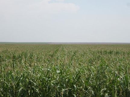Property in Logan County, Kansas