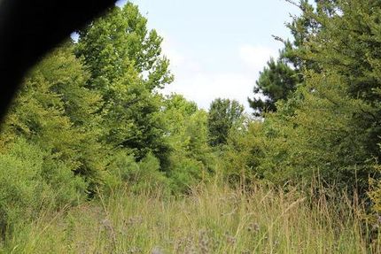 Property in Catahoula Parish, Louisiana