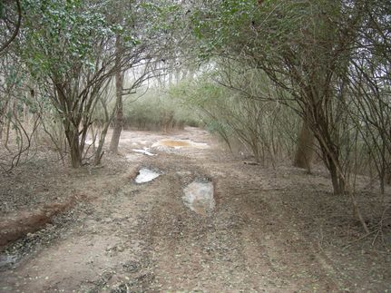 Property in Butts County, Georgia