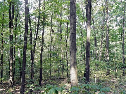 Property in Montour County, Pennsylvania