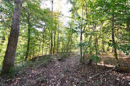 Property in Tyler County, Texas