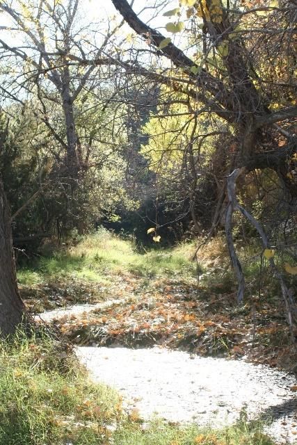 Property in Floyd County, Texas