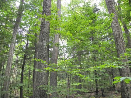 Property in Hampden County, Massachusetts