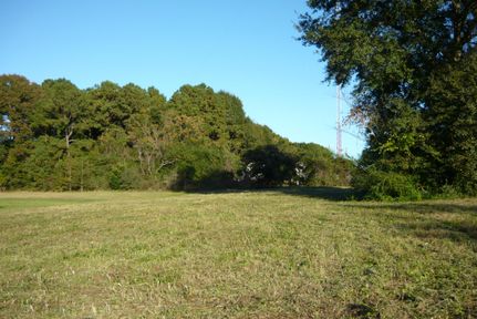 Property in Covington County, Alabama