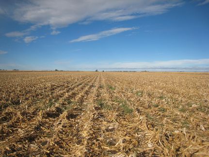 Property in Dawson County, Nebraska