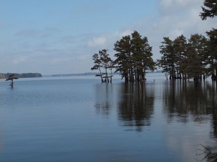 Property in Washington County, Mississippi