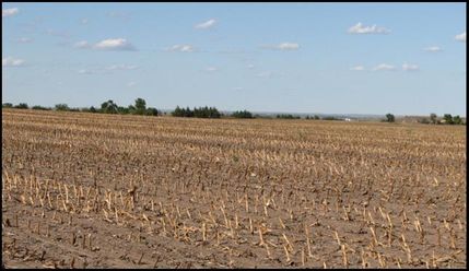 Property in Dawson County, Nebraska