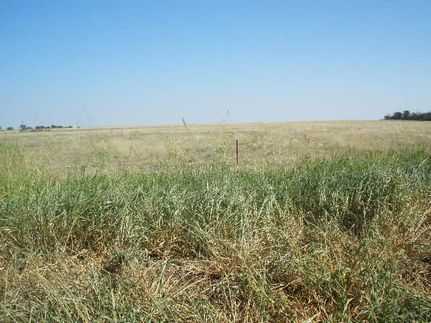 Property in Haskell County, Texas