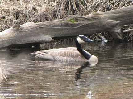 Property in Becker County, Minnesota