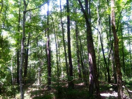 Property in Crawford County, Georgia