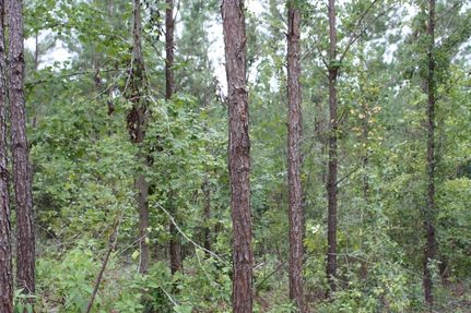 Property in Itawamba County, Mississippi