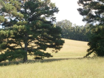 Property in Pontotoc County, Mississippi