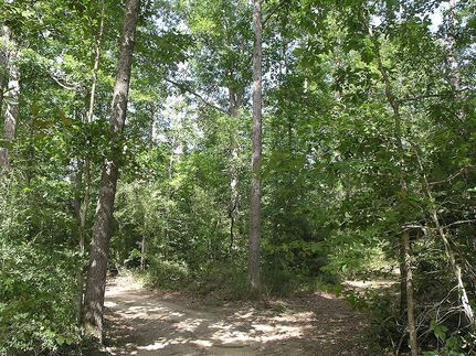 Property in Tyler County, Texas