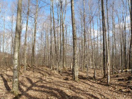 Property in Chittenden County, Vermont