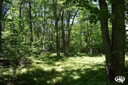 Property in Oconto County, Wisconsin