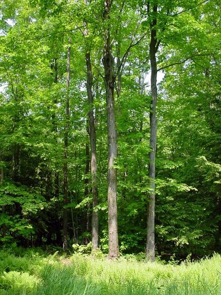 Property in Rensselaer County, New York