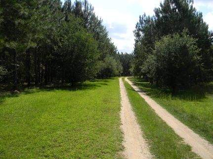 Property in Butler County, Alabama