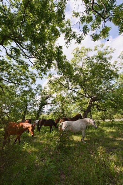 Property in Blanco County, Texas