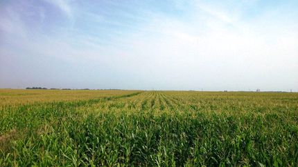 Property in Calhoun County, Iowa