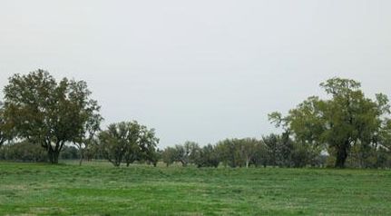 Property in Marion County, Florida