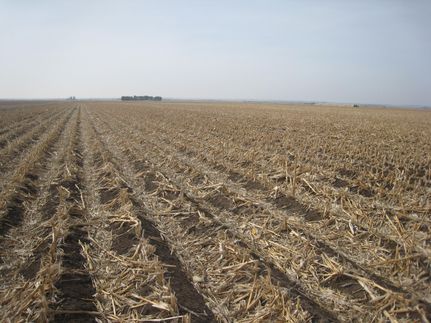 Property in Dawson County, Nebraska