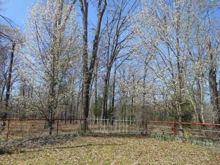 Property in Camp County, Texas