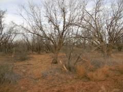 Property in Fisher County, Texas