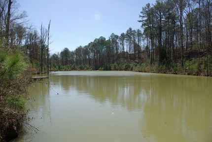 Property in Saint Clair County, Alabama