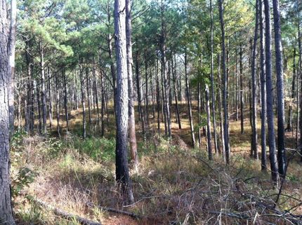 Property in Adams County, Mississippi