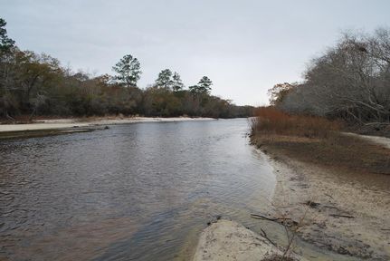 Property in Brantley County, Georgia