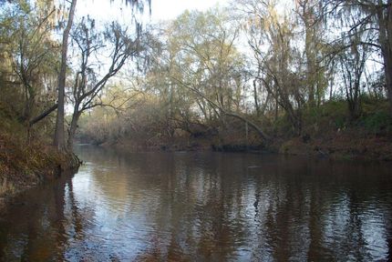 Property in Echols County, Georgia