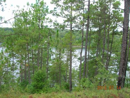 Property in Chilton County, Alabama