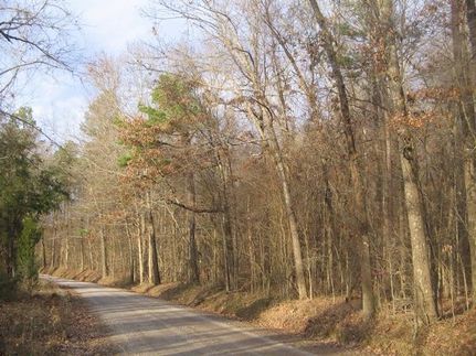 Property in Montgomery County, Arkansas