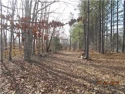 Property in Lawrence County, Tennessee