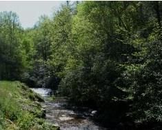 Property in Transylvania County, North Carolina